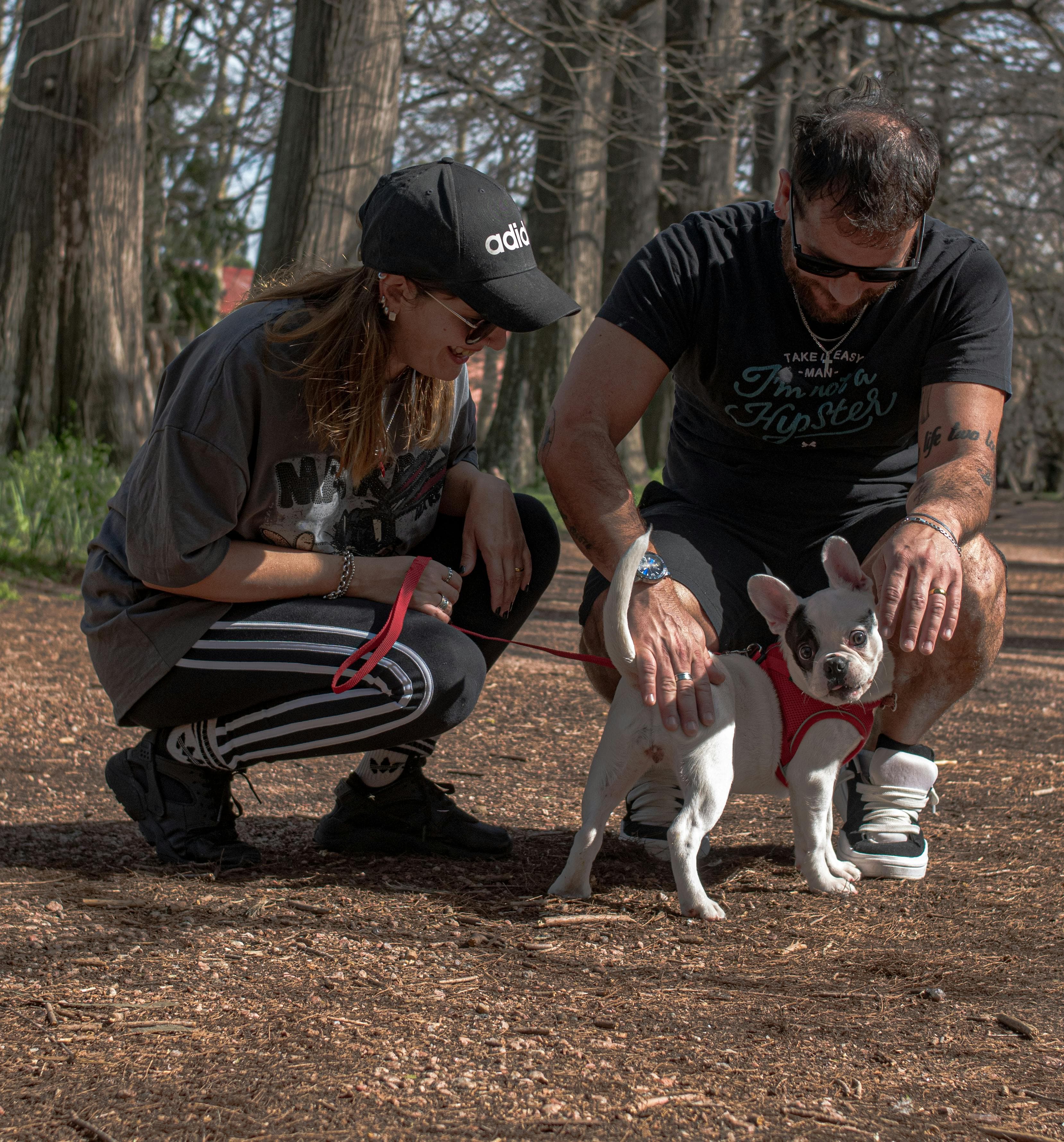 casal cuidando do seu cão