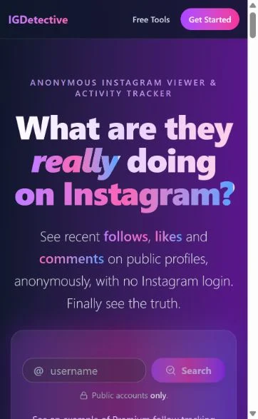 IGDetective official public website